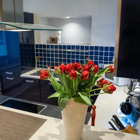 Apartment Rataskaevu 6