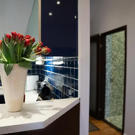 Rataskaevu 6 アパート *