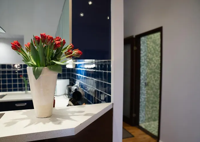 Rataskaevu 6 公寓 *